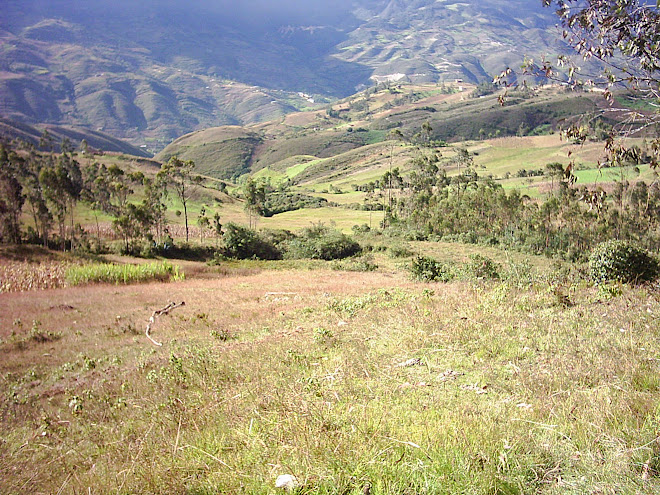 Paisaje de Cruz Conga.