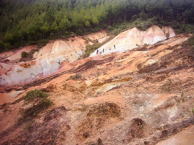 La tierra de coleres