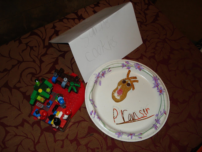 Cookies for Santa