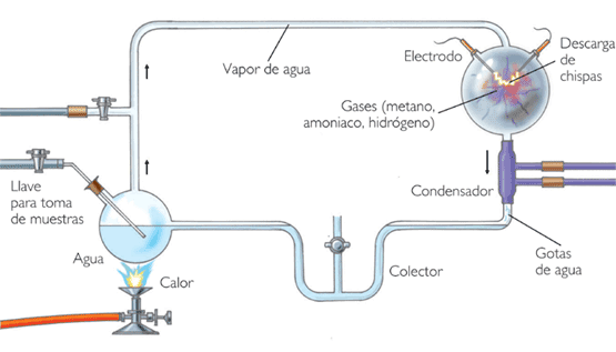 [20070417klpcnavid_260_Ees_SCO.png]