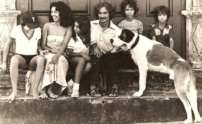 Família Cavalcanti