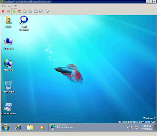 Virtual Nic Windows 2003