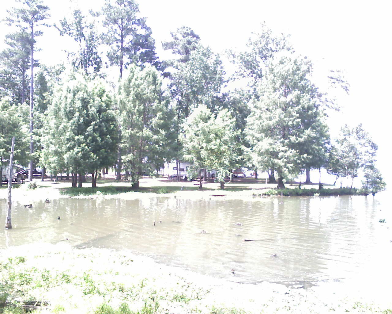 camping info, the stuff you need to know Blue Bluff COE Campground