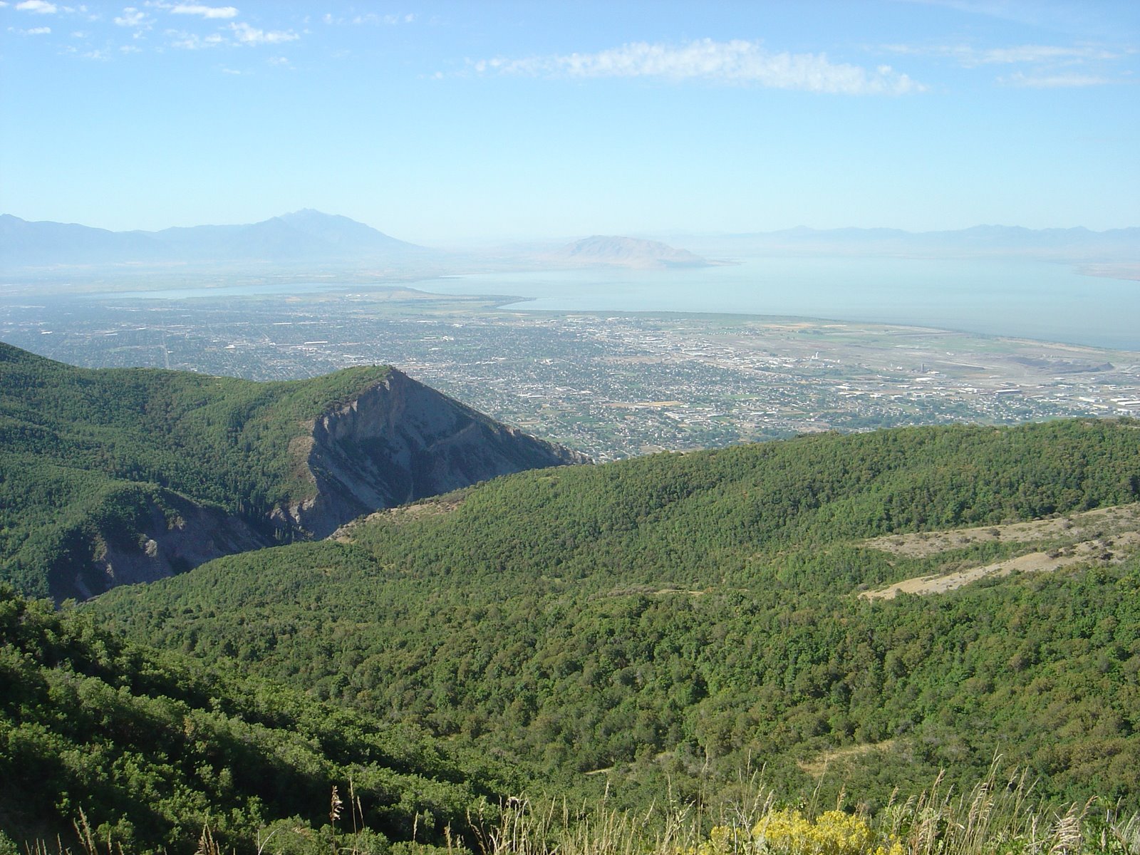 [DSC01480.JPG]