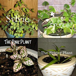 The Plants: