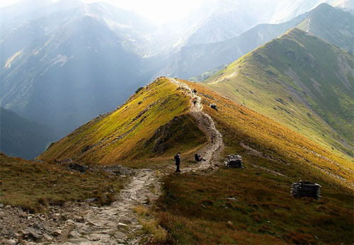 [unbelievablepictures08.jpg]