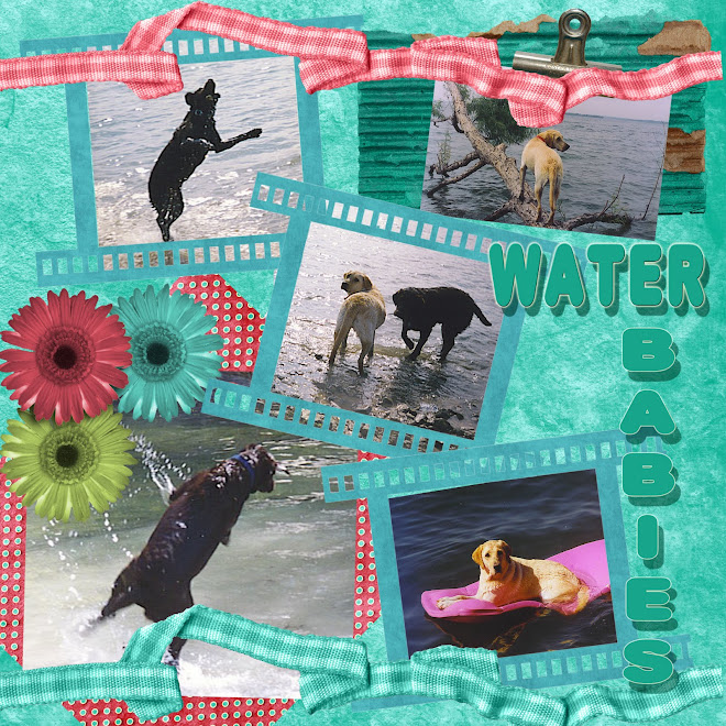Water Babies