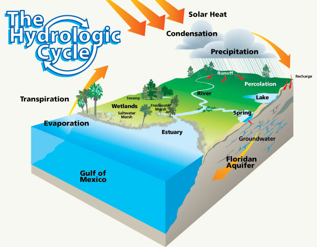 The Water Cycle Worksheets For Kids. Water+cycle+pictures+for+