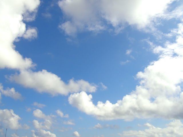 [P6061146.jpg]