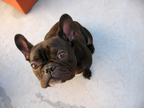 [LeRoy_Patio_07.jpg]