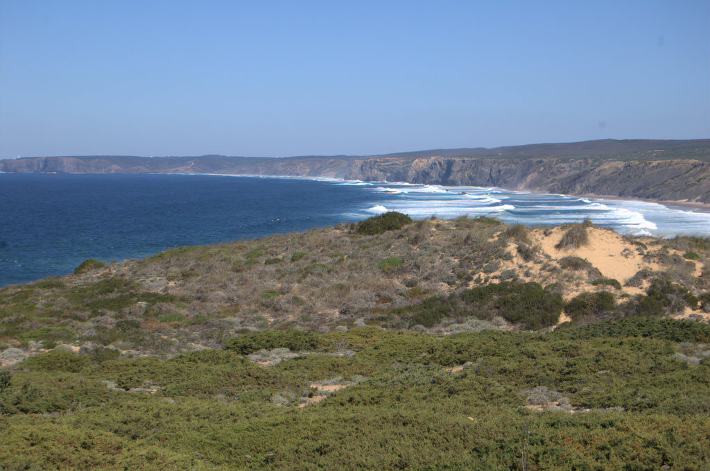 [DSC_1807.jpg]
