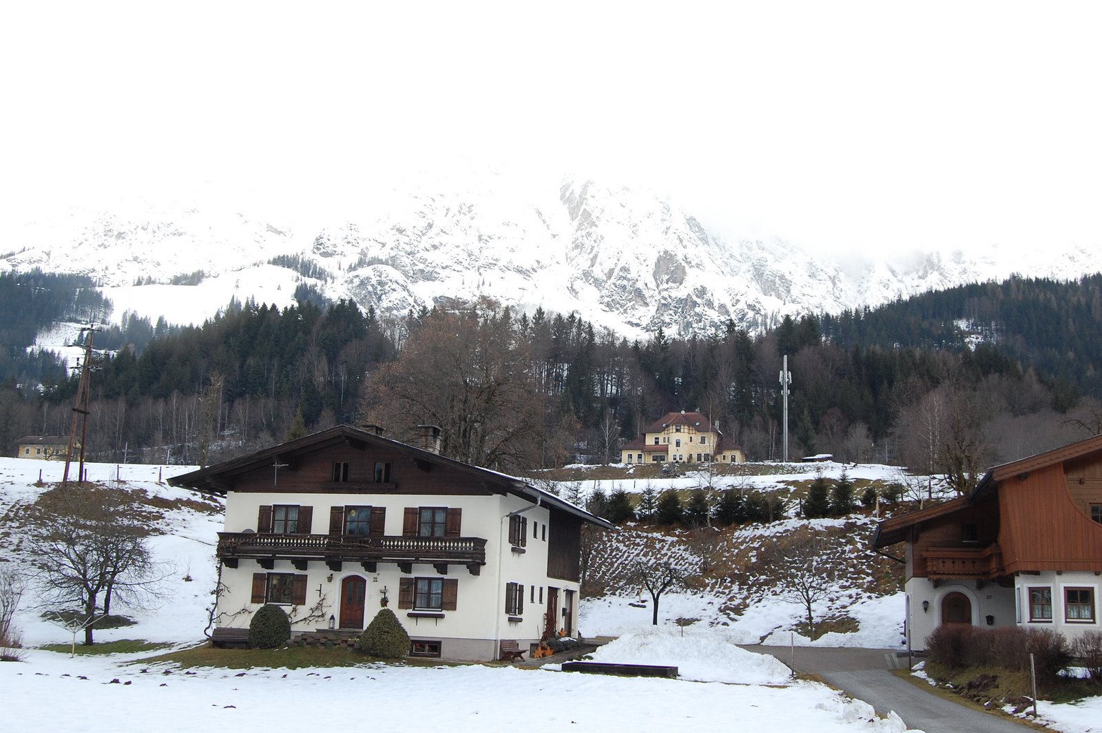 [DSC_2524.JPG]