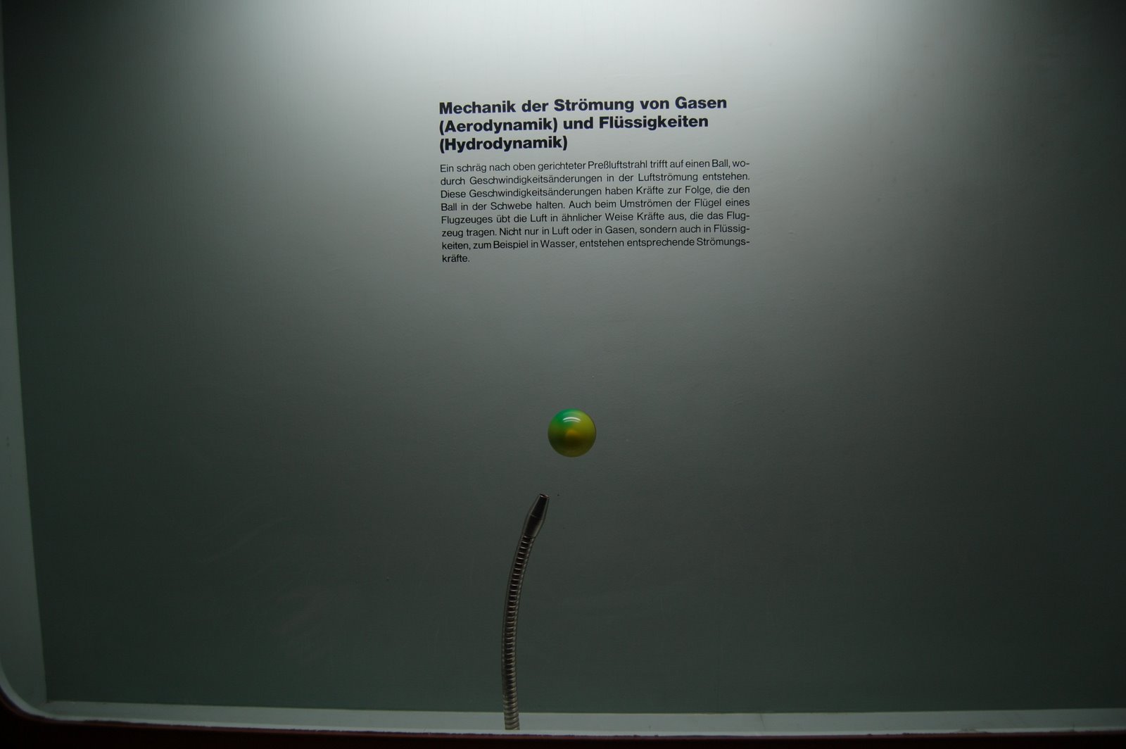 [DSC_2340.JPG]