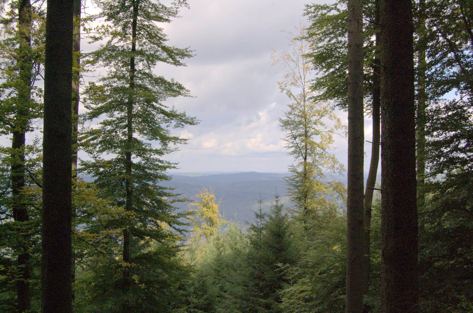 [DSC_3575-.jpg]