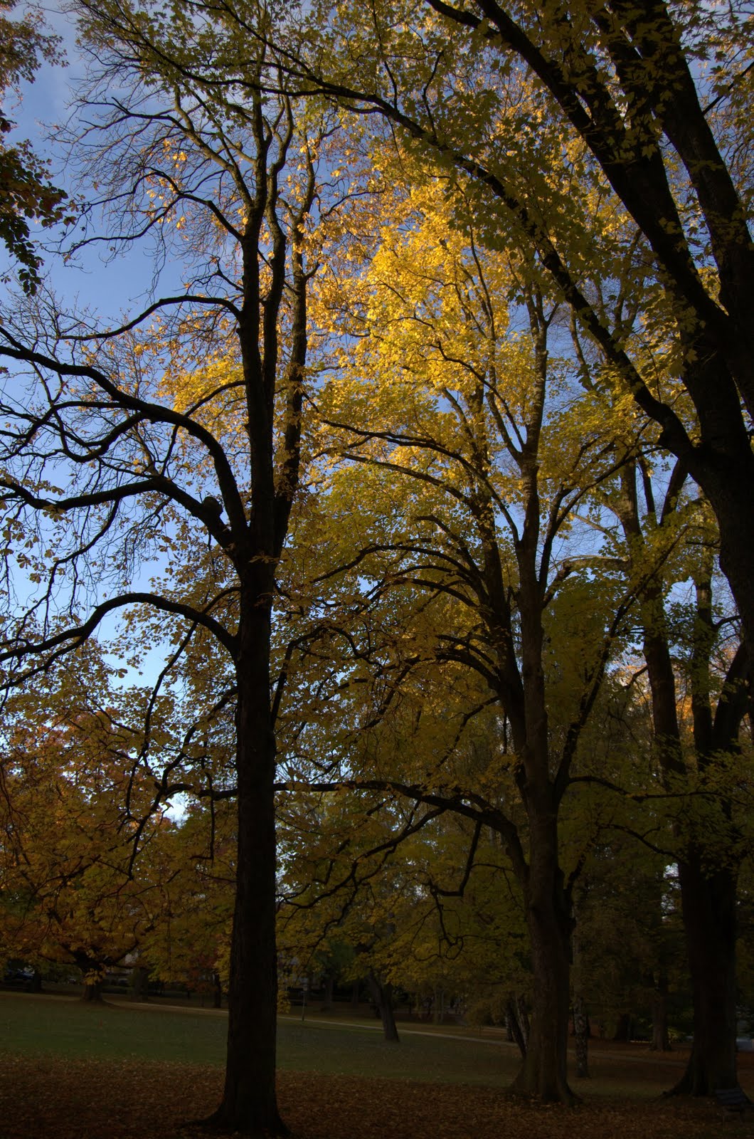 [DSC_3982.jpg]