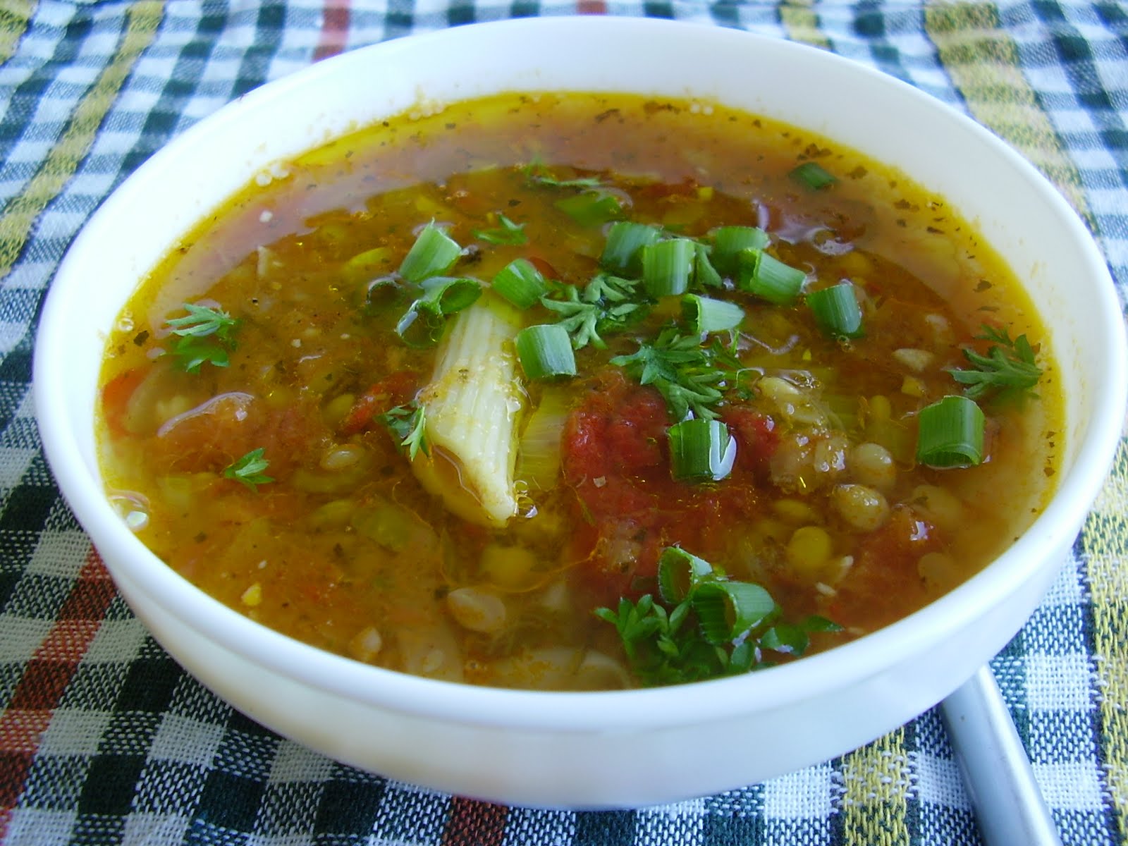 Zuppa vegetariana di lenticchie e pasta