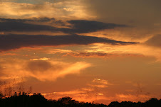 sunset over our farm