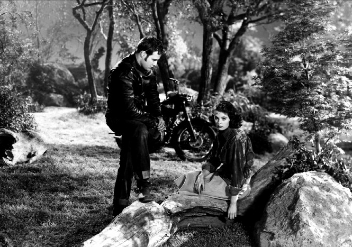 [equipee-sauvage-01-g.jpg]