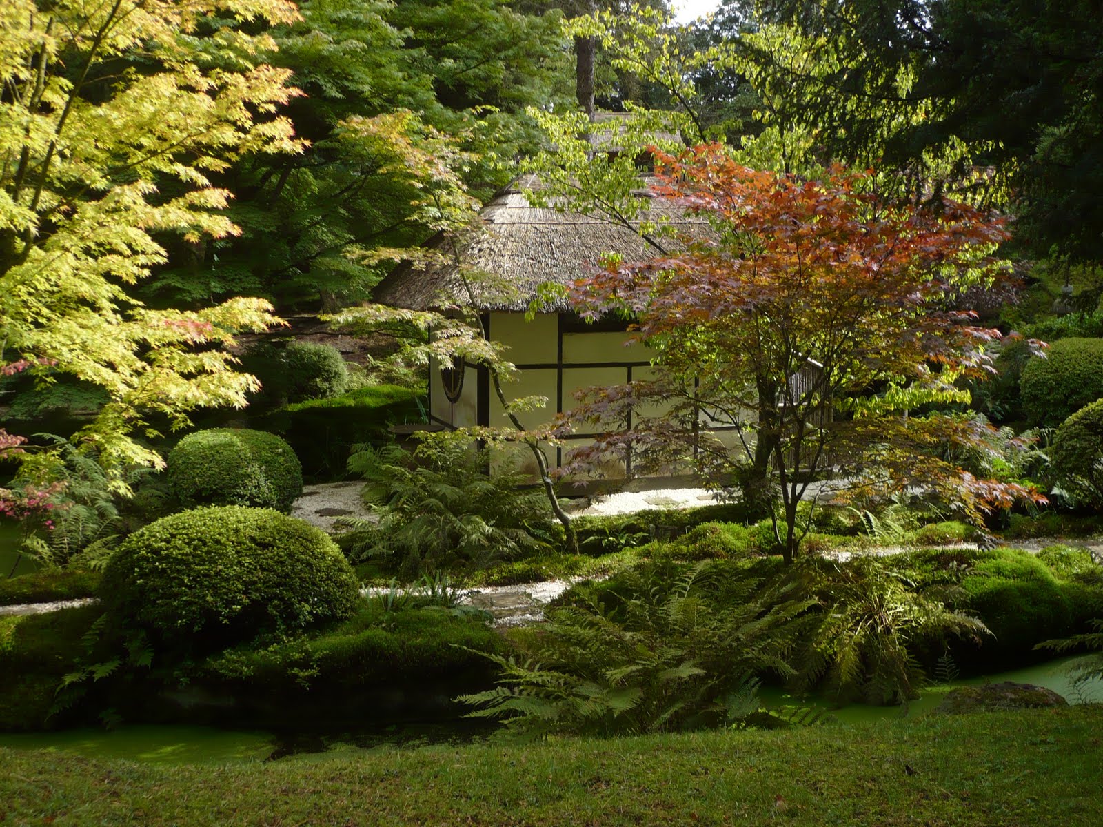 A Raft of Apples: ABC Wednesday - Japanese Garden