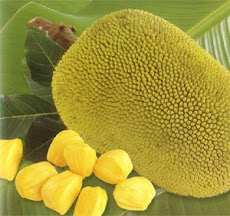 NANGKA