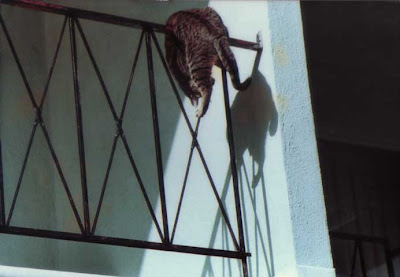 Marigold and Her Shadow - circa 1985