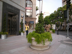 Focusing on Tiffany's - Beverly Hills