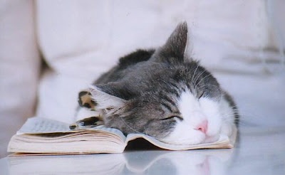 TGIF Have a relaxing weekend!