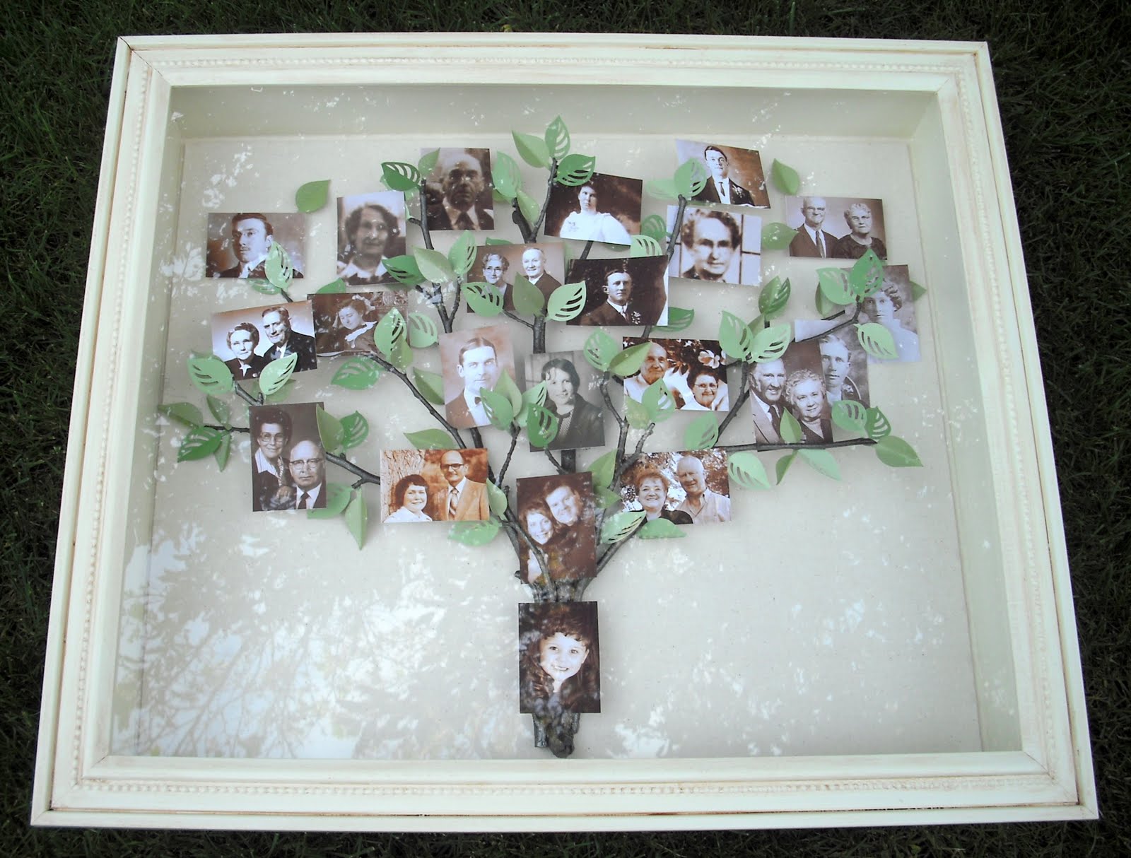 Crafty Sisters: My Family Tree Shadow Box