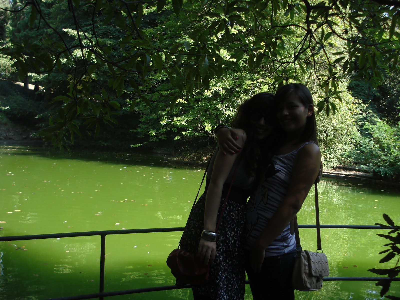 [DSC00135.JPG]