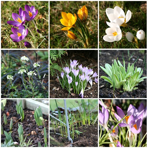 [SGW10+GBBD+FEB+(1).bmp]