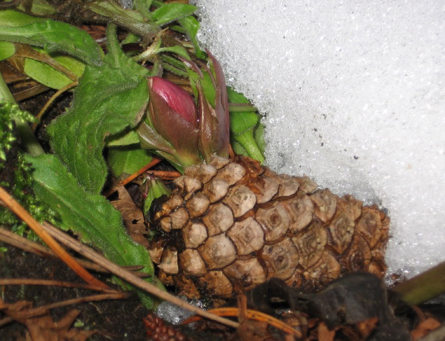 [SGW10+EOM,+FEB28+(3).jpg]