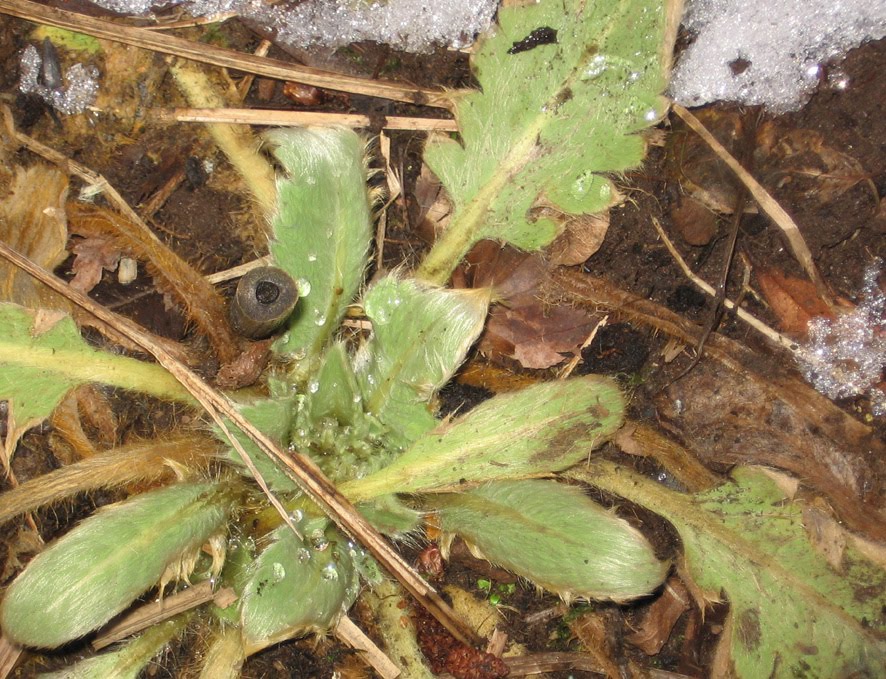 [SGW10+EOM,+FEB28+(5).jpg]