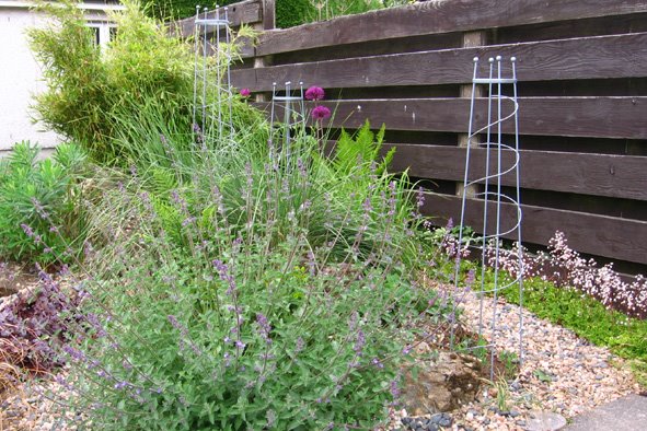 [GARD08,+MAY27+(8).jpg]