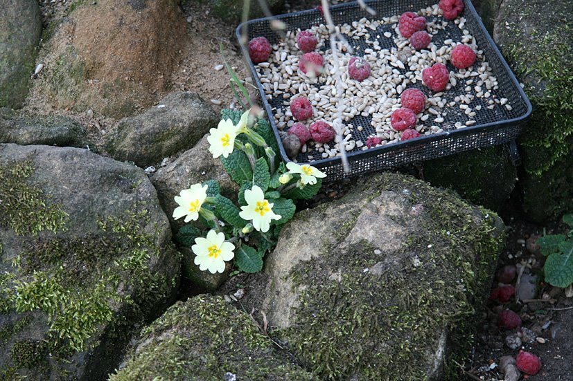 [Wakey+wakey,+APR4+(8).jpg]