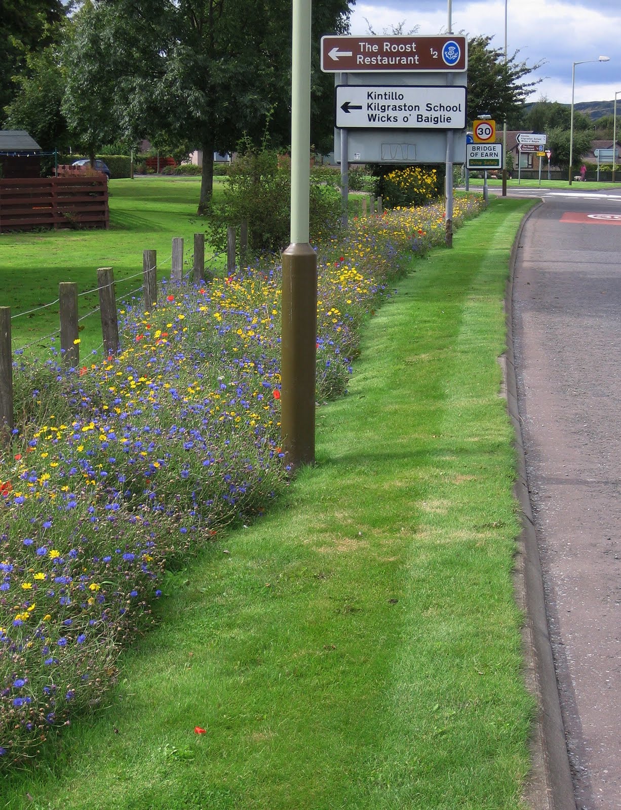 [SGW09+SEPT+OOTS+(2).jpg]