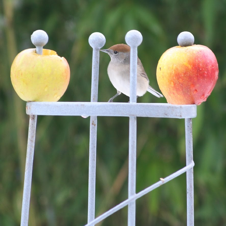 [SGW09+DEC27+(7).jpg]