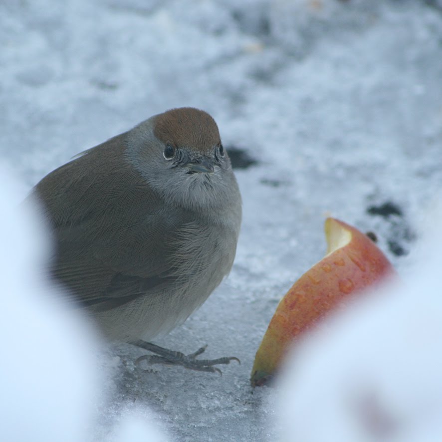 [SGW09+DEC27+(10).jpg]