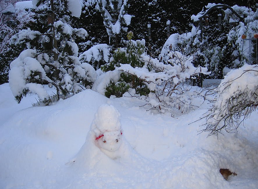 [SGW09+DEC27+(2).jpg]