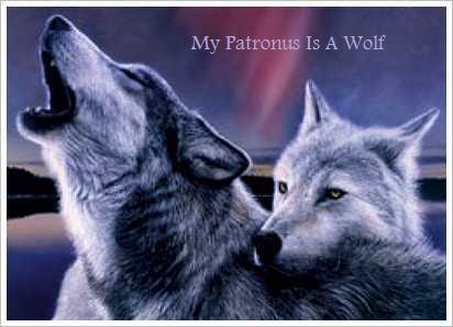My Patronus is a Wolf
