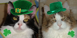 WHAT CUTE LEPRECHAUNS!