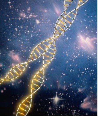 [dna.jpg]