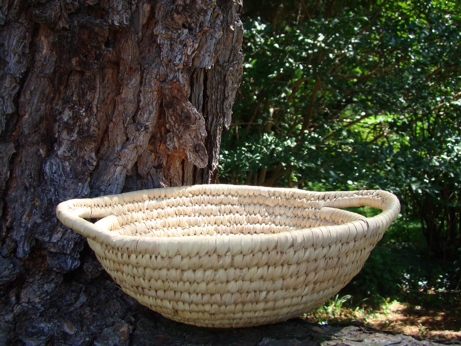 Everyday Happenings Empty Basket