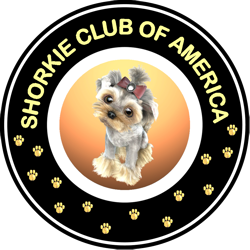 Official Shorkie Puppies