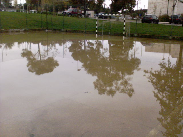 [DSC00493.JPG]