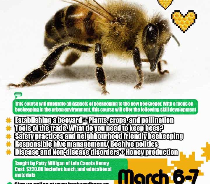 Calgary Food Policy Council A.B.C Level One Beekeeping Course