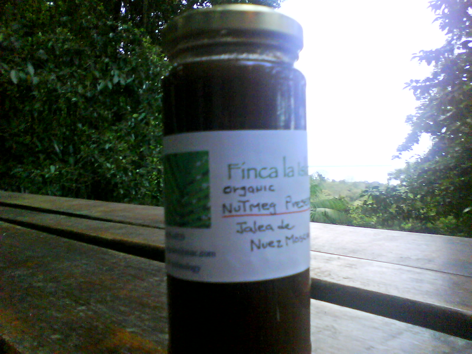 [DSC00008.JPG]