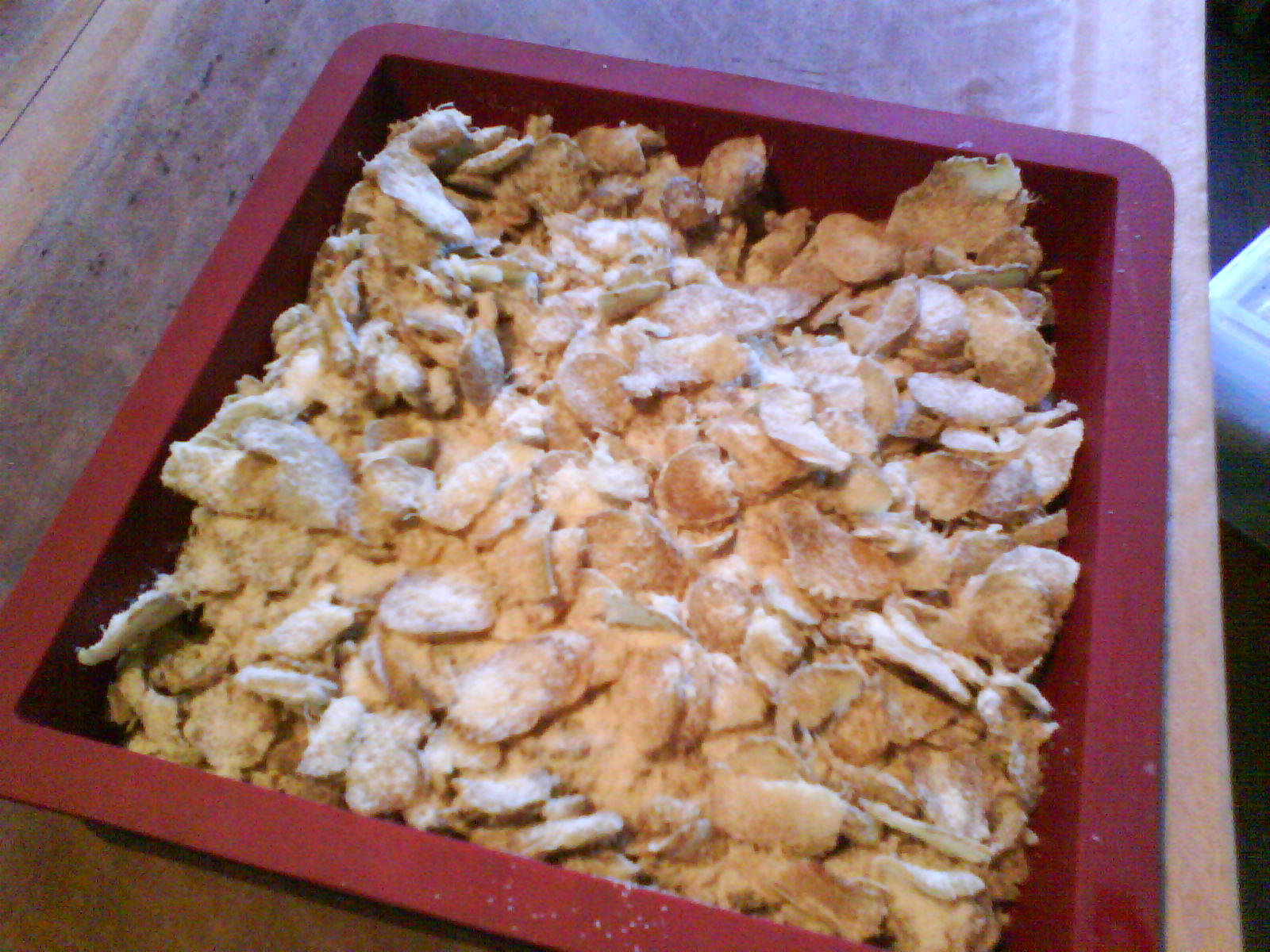 [DSC00065.JPG]