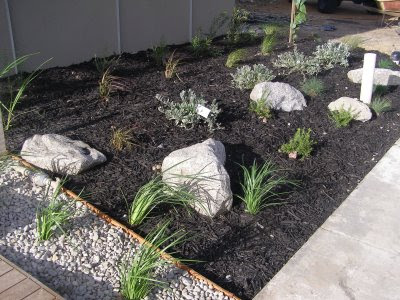 Front Garden on Front Garden