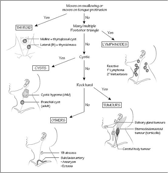 Surgery At a Glance 1 Neck lump