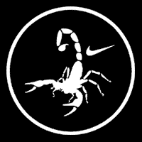 Nike Scorpion